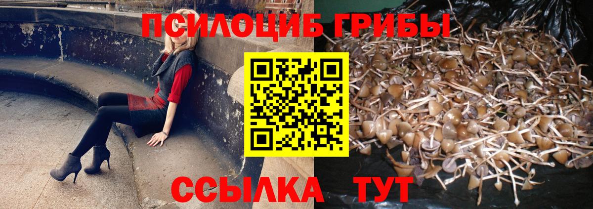 Галлюциногенные грибы прущие грибы Ногинск