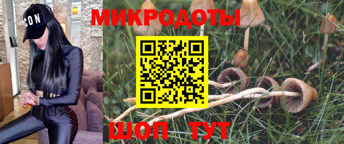Ногинск  Галлюциногенные грибы Magic Shrooms  Вход с VPN 